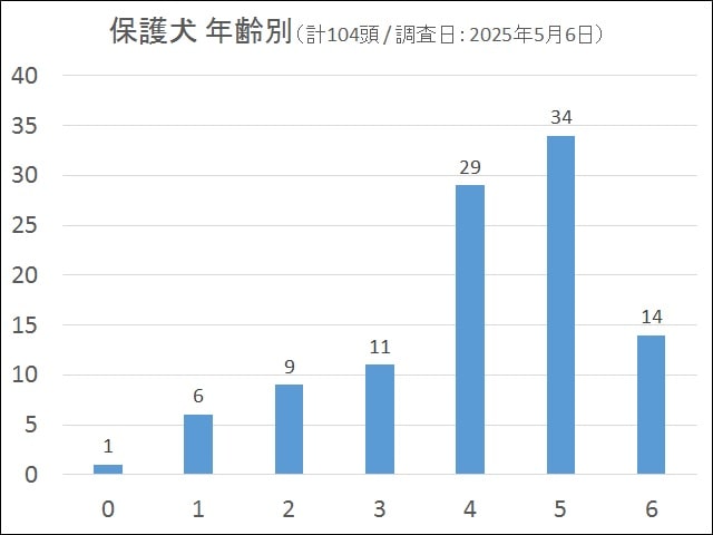 年齢 年齢