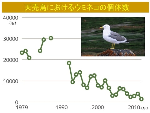 海鳥の減少を表すグラフ