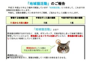 猫を飼うとゴキブリがいなくなるのは迷信 のらねこらむ