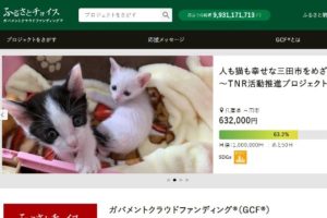 キィーンって鳴る猫よけの超音波って犬にも影響ありますか のらねこらむ